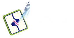 ezcat logo